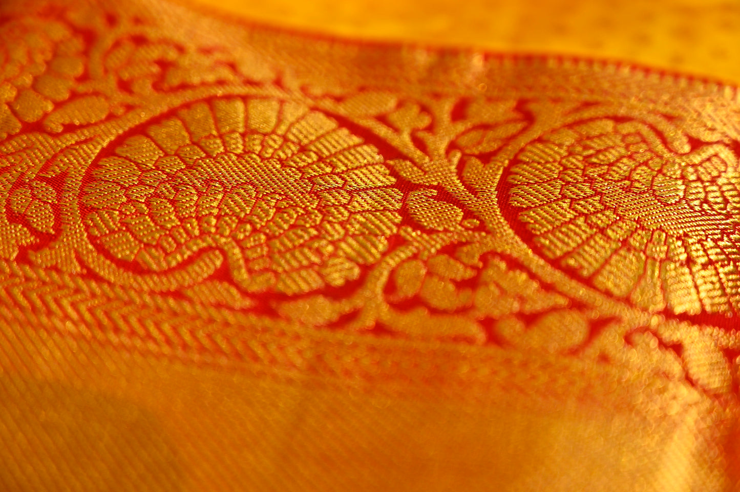 YELLOW KANJIVARAM SAREE WITH CONTRAST BORDER - Kothari Sons