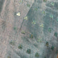 AQUA COLOUR SOFT TISSUE SAREE WITH SEQUINS IN THE WEAVE