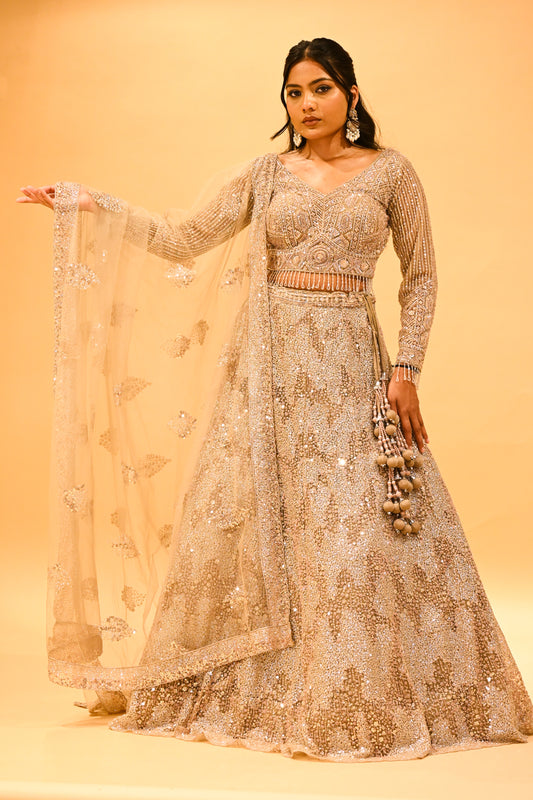 SEQUINS-SHADED LEHENGA WITH CROP TOP BLOUSE & NET EMBROIDERED DUPATTA