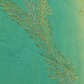 (DELIVERY IN 30 DAYS) SHADED SEA GREEN SAREE WITH GOLDEN SILVER SEQUINS EMBROIDERED LEAF MOTIFS