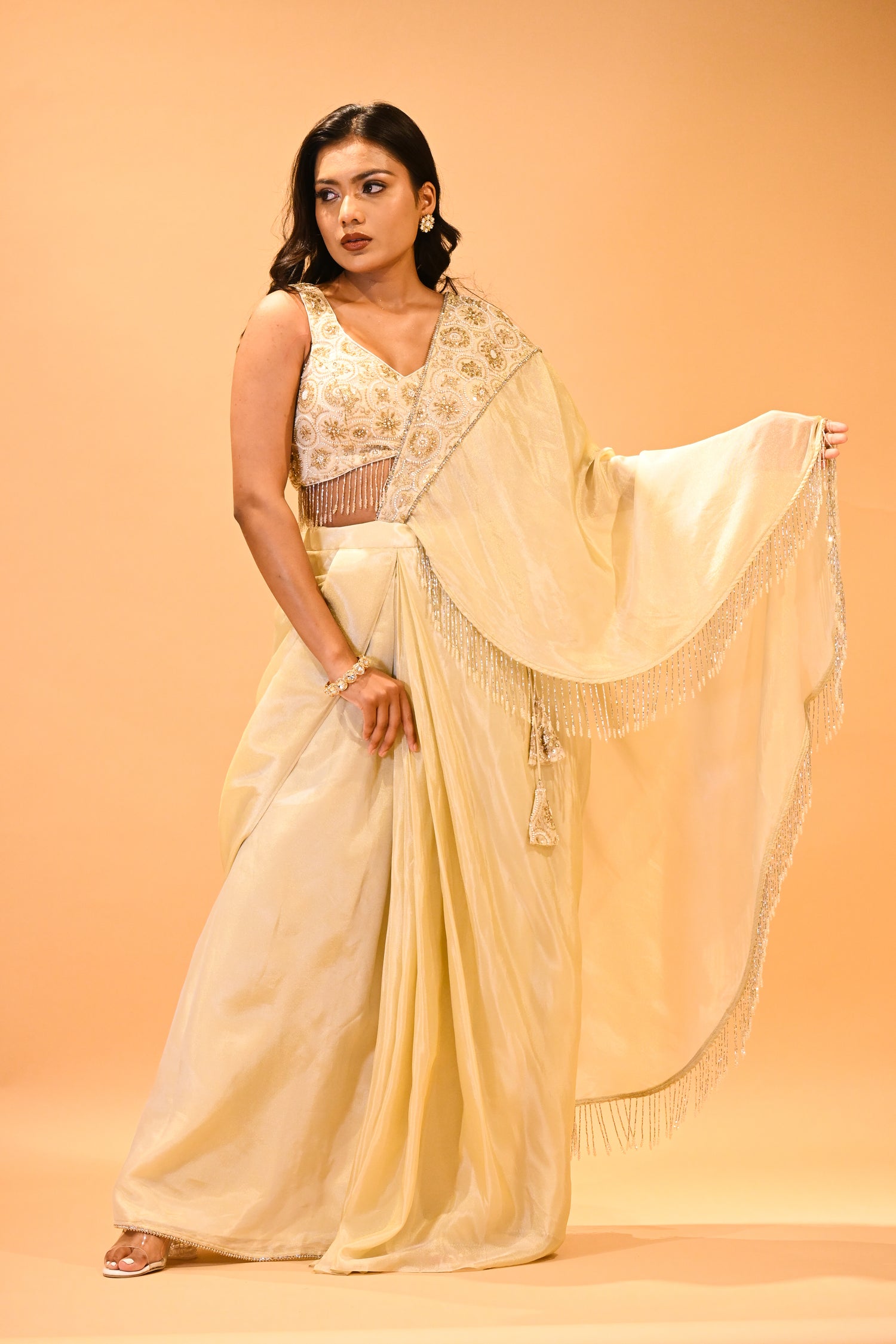 Embroidered saree