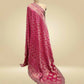 RANI COLOUR BANDHANI KHADDI DUPATTA WITH HAND-EMBROIDERED BORDER