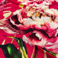 HOT PINK COLOUR CHINON FLORAL PRINTED SAREE WITH PRINTED BLOUSE - Kothari Sons