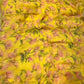 YELLOW COLOUR PRINTED CHIFFON SAREE (30gm)