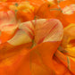 ORANGE PRINTED CHIFFON SAREE