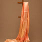 PEACH COLOUR PURE TISSUE SILK SAREE WITH RICH BROCADE BLOUSE - Kothari Sons