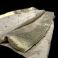 IVORY CHINON FABRIC BANARASI BORDER MIRROR WORK SAREE WITH CONTRAST BLOUSE