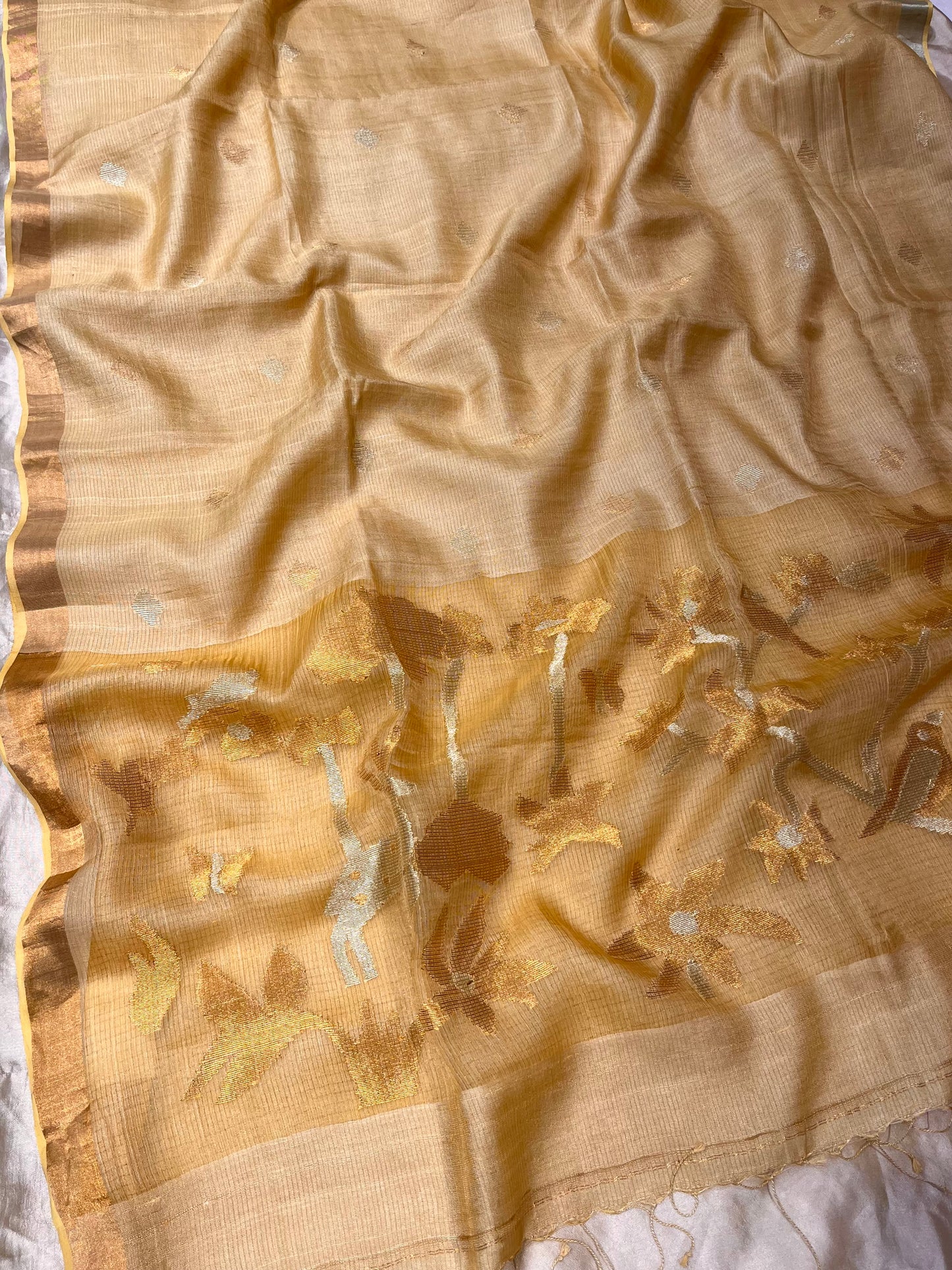 PASTEL YELLOW COLOUR MUNGA TISSUE SAREE WITH ZARI BORDER