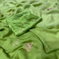 PASTEL GREEN COLOUR SHADED PURE CHIFFON HAND EMBROIDERED SAREE