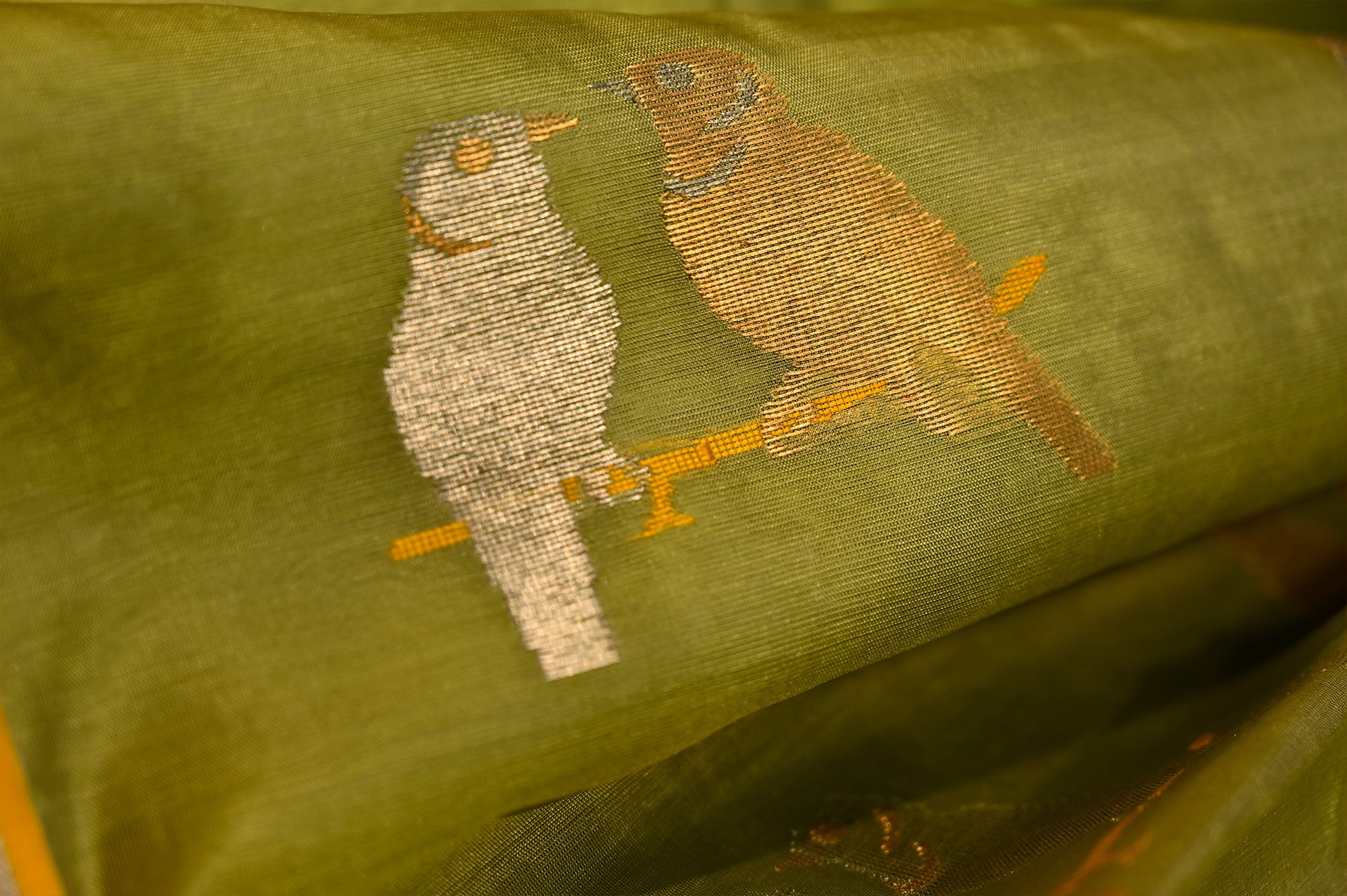PISTA GREEN CHANDERI SAREE WITH ZARI BIRDS DESIGN - Kothari Sons
